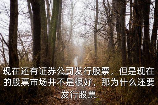 現(xiàn)在還有證券公司發(fā)行股票，但是現(xiàn)在的股票市場(chǎng)并不是很好，那為什么還要發(fā)行股票