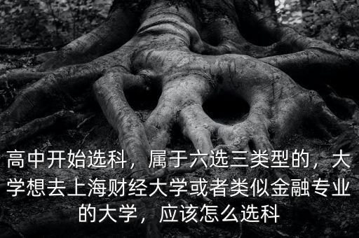 高中開始選科，屬于六選三類型的，大學(xué)想去上海財(cái)經(jīng)大學(xué)或者類似金融專業(yè)的大學(xué)，應(yīng)該怎么選科