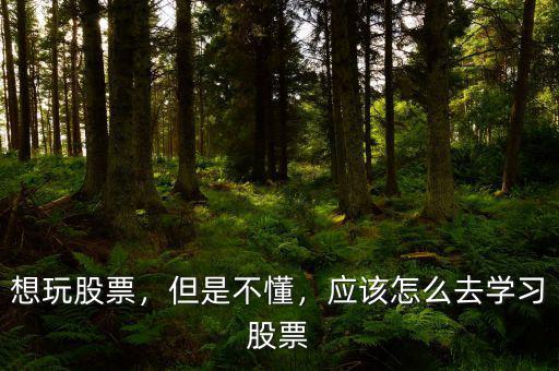 想玩股票，但是不懂，應(yīng)該怎么去學(xué)習(xí)股票