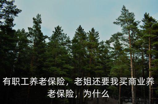 有職工養(yǎng)老保險(xiǎn)，老姐還要我買商業(yè)養(yǎng)老保險(xiǎn)，為什么