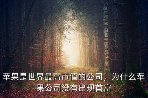 蘋(píng)果公司為什么市值那么高,為什么蘋(píng)果公司沒(méi)有出現(xiàn)首富