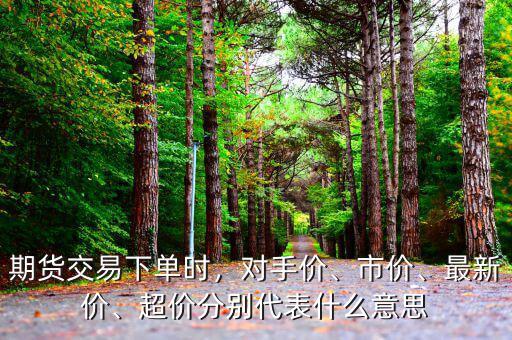 期貨對手價(jià)是什么意思,期貨交易下單時(shí)