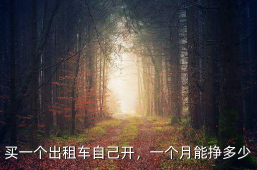買(mǎi)一個(gè)出租車(chē)自己開(kāi)，一個(gè)月能掙多少
