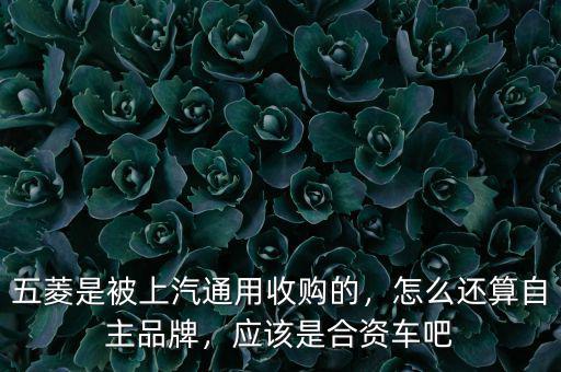 五菱是被上汽通用收購(gòu)的，怎么還算自主品牌，應(yīng)該是合資車(chē)吧