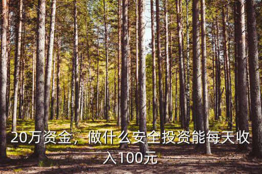 20萬資金，做什么安全投資能每天收入100元