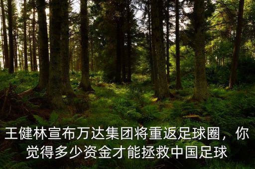 王健林宣布萬達(dá)集團(tuán)將重返足球圈，你覺得多少資金才能拯救中國足球