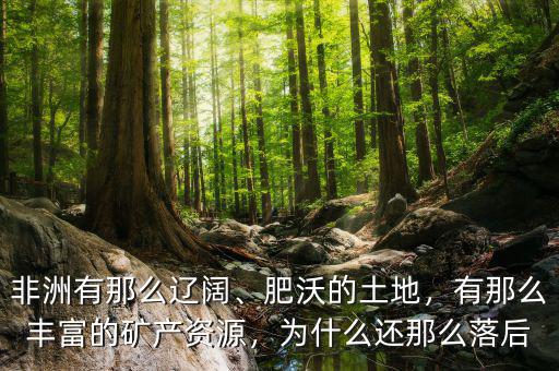 非洲有什么礦產資源,有那么豐富的礦產資源