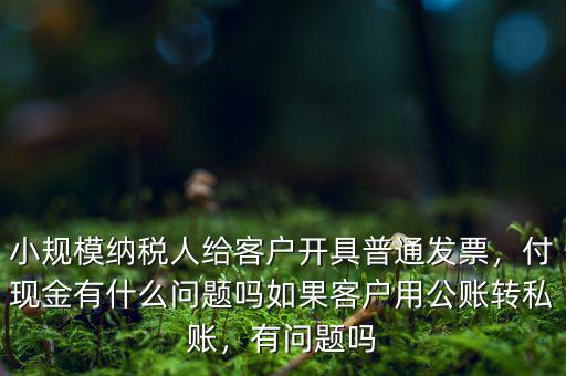 小規(guī)模納稅人給客戶開具普通發(fā)票，付現(xiàn)金有什么問題嗎如果客戶用公賬轉(zhuǎn)私賬，有問題嗎
