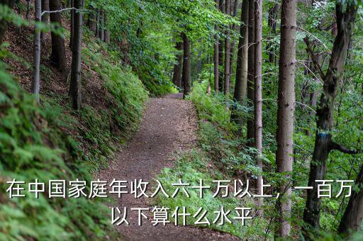 在中國家庭年收入六十萬以上，一百萬以下算什么水平