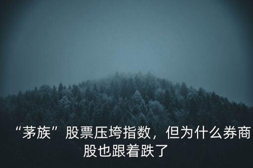 “茅族”股票壓垮指數(shù)，但為什么券商股也跟著跌了