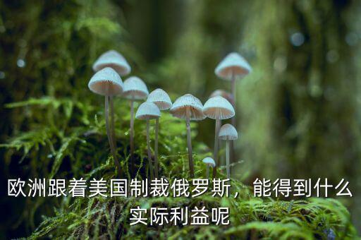 歐洲跟著美國(guó)制裁俄羅斯，能得到什么實(shí)際利益呢