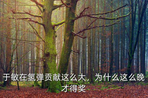 于敏在氫彈貢獻(xiàn)這么大，為什么這么晚才得獎