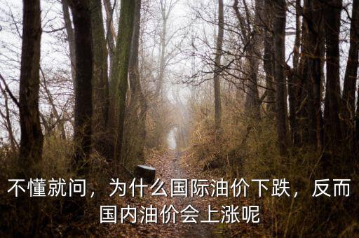 不懂就問，為什么國際油價(jià)下跌，反而國內(nèi)油價(jià)會上漲呢