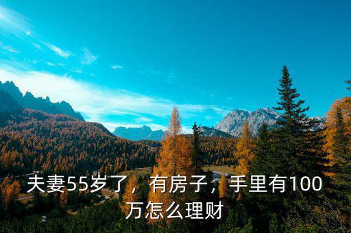 夫妻55歲了，有房子，手里有100萬(wàn)怎么理財(cái)