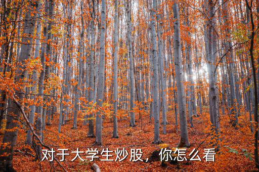對于大學(xué)生炒股，你怎么看