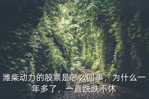 濰柴動力的股票是怎么回事，為什么一年多了，一直跌跌不休