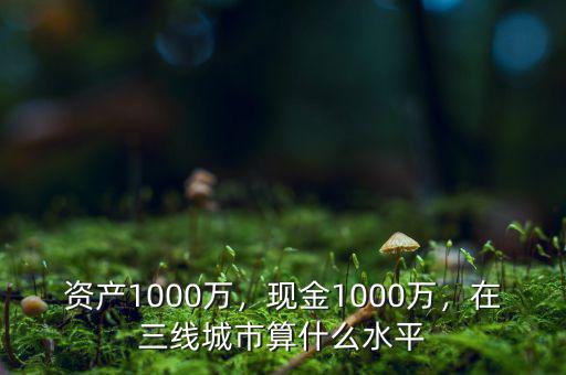 資產(chǎn)1000萬，現(xiàn)金1000萬，在三線城市算什么水平