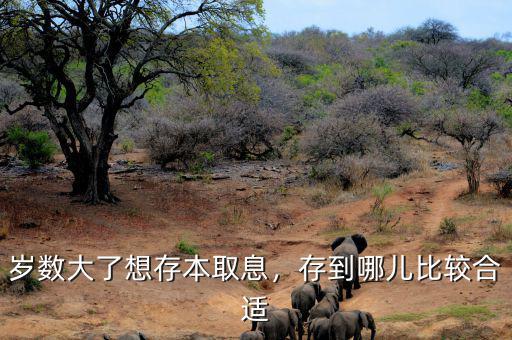 歲數(shù)大了想存本取息，存到哪兒比較合適