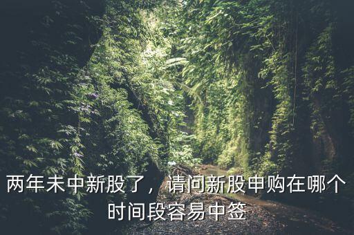 兩年未中新股了，請(qǐng)問新股申購(gòu)在哪個(gè)時(shí)間段容易中簽