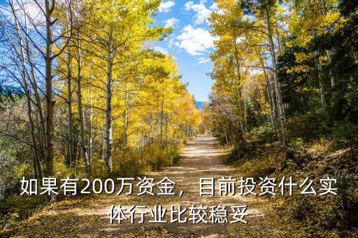 如果有200萬資金，目前投資什么實(shí)體行業(yè)比較穩(wěn)妥