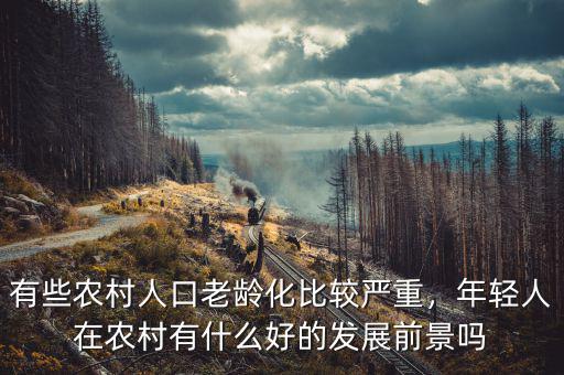 有些農(nóng)村人口老齡化比較嚴(yán)重，年輕人在農(nóng)村有什么好的發(fā)展前景嗎