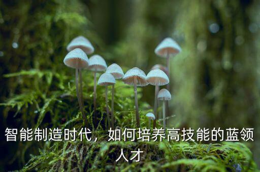 智能制造時代，如何培養(yǎng)高技能的藍領人才