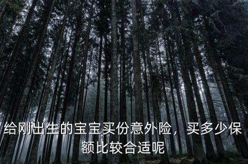 給剛出生的寶寶買份意外險(xiǎn)，買多少保額比較合適呢
