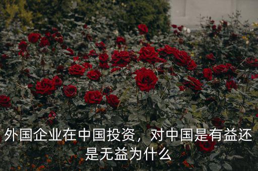 外國(guó)企業(yè)在中國(guó)投資，對(duì)中國(guó)是有益還是無(wú)益為什么