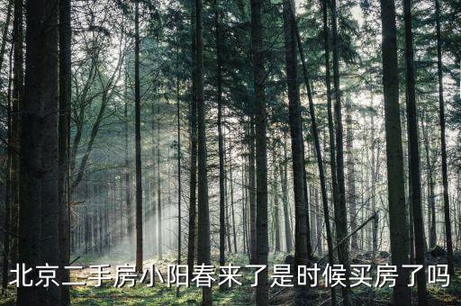 房地產(chǎn)小陽春是什么時(shí)候,是時(shí)候買房了嗎