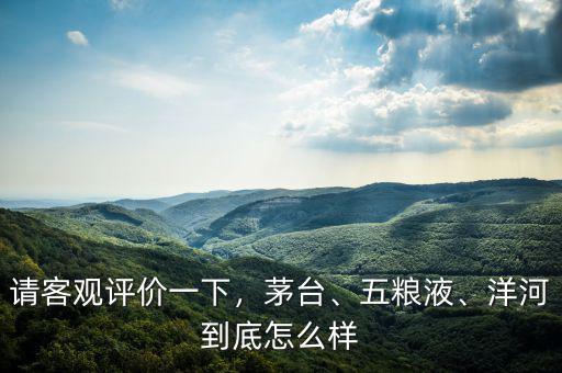 請客觀評價一下，茅臺、五糧液、洋河到底怎么樣