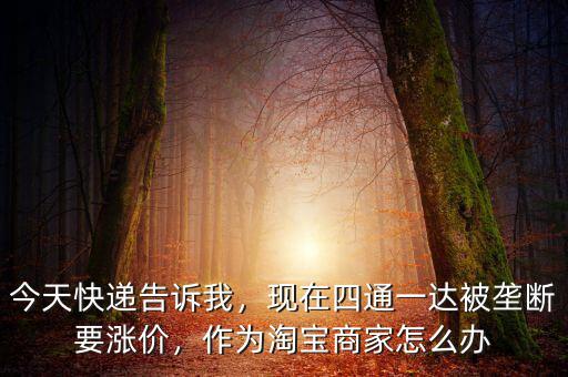 今天快遞告訴我，現(xiàn)在四通一達(dá)被壟斷要漲價，作為淘寶商家怎么辦