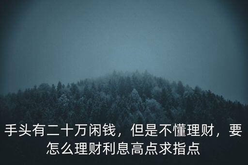 手頭有二十萬(wàn)閑錢，但是不懂理財(cái)，要怎么理財(cái)利息高點(diǎn)求指點(diǎn)