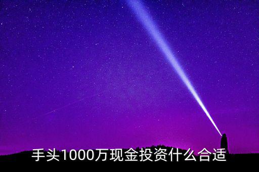 手頭1000萬現金投資什么合適