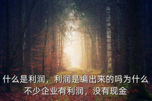 什么是利潤，利潤是編出來的嗎為什么不少企業(yè)有利潤，沒有現(xiàn)金
