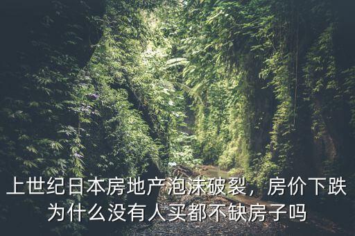 上世紀日本房地產(chǎn)泡沫破裂，房價下跌為什么沒有人買都不缺房子嗎