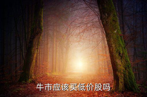 牛市應(yīng)該買低價股嗎