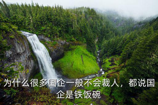 為什么很多國企一般不會(huì)裁人，都說國企是鐵飯碗