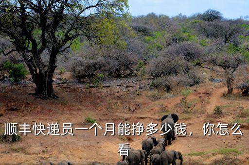 順豐快遞員一個月能掙多少錢，你怎么看