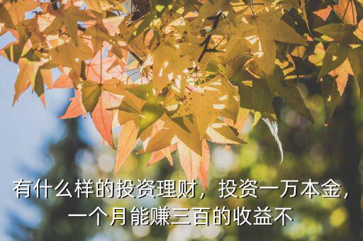 有什么樣的投資理財(cái)，投資一萬(wàn)本金，一個(gè)月能賺三百的收益不