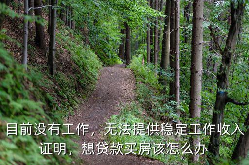 目前沒(méi)有工作，無(wú)法提供穩(wěn)定工作收入證明，想貸款買房該怎么辦