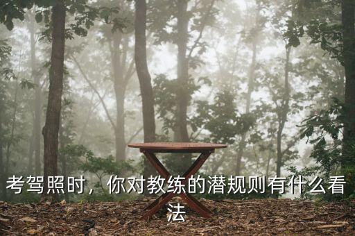 考駕照時(shí)，你對(duì)教練的潛規(guī)則有什么看法