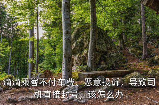 滴滴乘客不付車費(fèi)、惡意投訴，導(dǎo)致司機(jī)直接封號(hào)，該怎么辦
