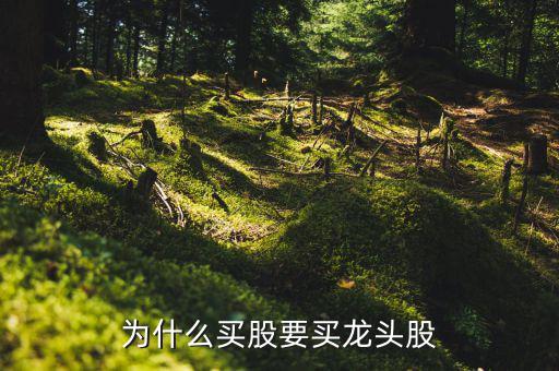 為什么買股要買龍頭股
