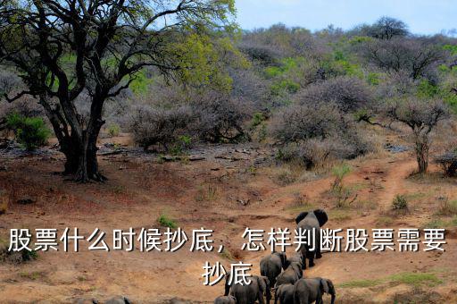 股票什么時候抄底，怎樣判斷股票需要抄底