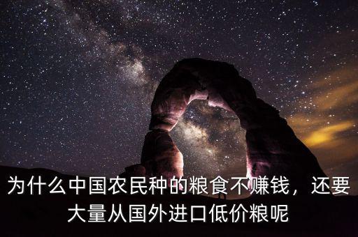 為什么中國農(nóng)民種的糧食不賺錢，還要大量從國外進(jìn)口低價(jià)糧呢