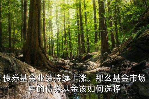 債券基金業(yè)績持續(xù)上漲，那么基金市場中的債券基金該如何選擇
