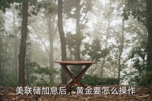 美聯(lián)儲(chǔ)加息后，黃金要怎么操作