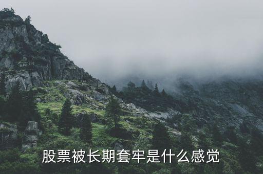 什么叫做股票被套牢,股票被長(zhǎng)期套牢是什么感覺