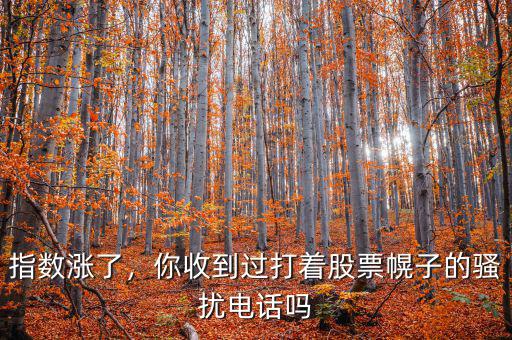 指數(shù)漲了，你收到過打著股票幌子的騷擾電話嗎