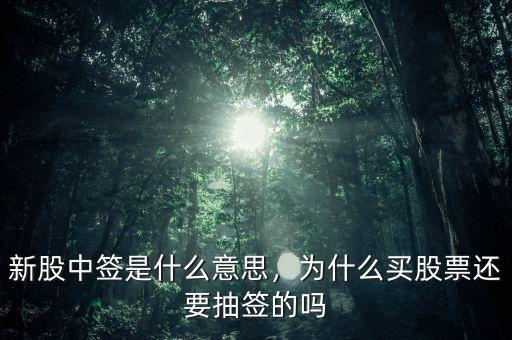 新股中簽是什么意思，為什么買股票還要抽簽的嗎
